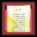 Naat ( Murtaza asher 03 * 22.03.2008 * 495 x 883 * (71KB)